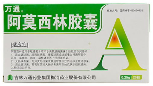 万通阿莫西林胶囊招商代理 20粒 梅河药业