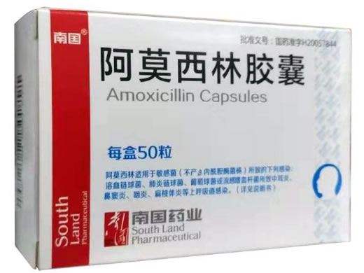 阿莫西林胶囊招商代理 :阿莫西林胶囊 0.25g*50s 广东南国药业