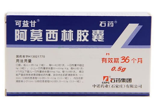可益甘/石药/石药集团阿莫西林胶囊招商代理 0.5g*30粒