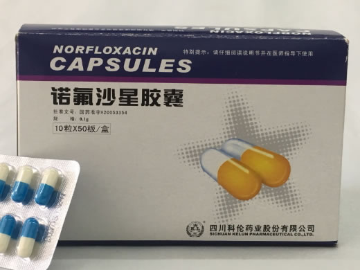 诺氟沙星胶囊招商代理 500粒 四川科伦
