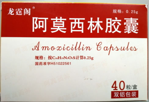 龙霆阁阿莫西林胶囊招商代理 40粒 四川珠峰