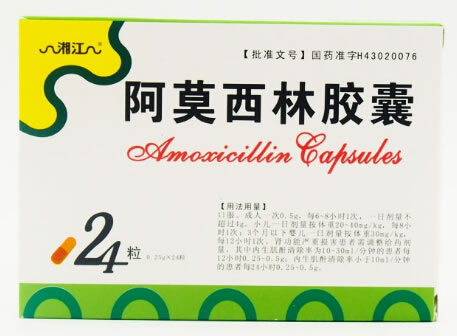 湘江阿莫西林胶囊招商代理 24粒