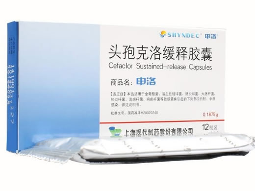 申洛头孢克洛缓释胶囊招商代理 12粒 上海现代