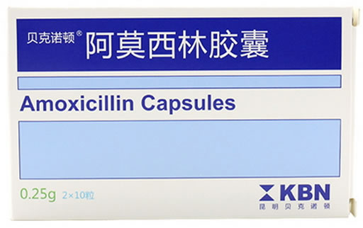 贝克诺顿阿莫西林胶囊招商代理 20粒 贝克诺顿