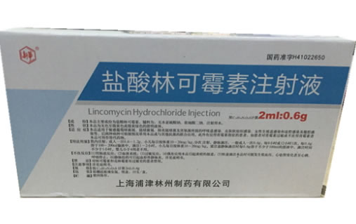 新华盐酸林可霉素注射液招商代理 