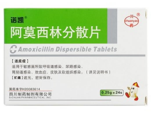 诺凯阿莫西林分散片招商代理 24片 四川制药制剂