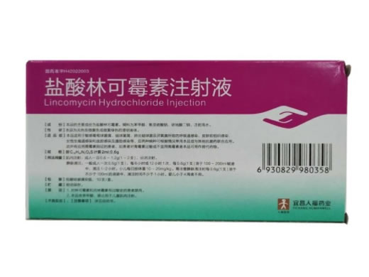 洁霉素盐酸林可霉素注射液招商代理 10支 人福药业