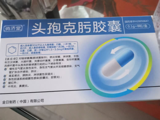 头孢克肟胶囊招商代理 8粒 金日制药