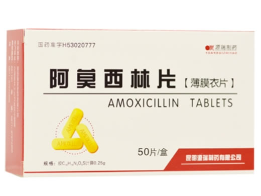 阿莫西林片招商代理 50片 源瑞制药