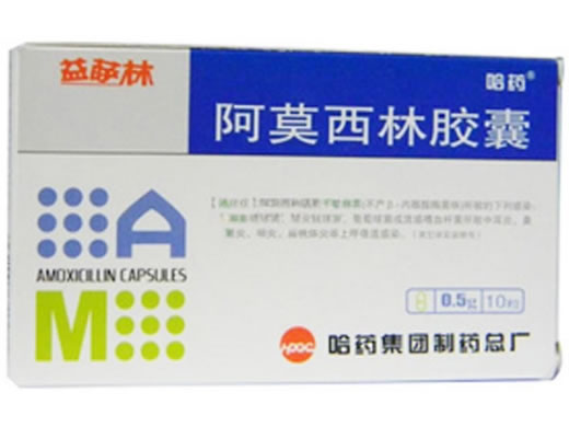 阿莫西林胶囊招商代理 :阿莫西林胶囊 0.5g*10粒 哈药集团制药总厂