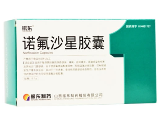 振东诺氟沙星胶囊招商代理 60粒 振东