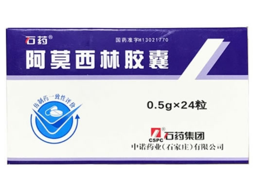 石药阿莫西林胶囊招商代理 0.5g*24粒 石药集团中诺药业