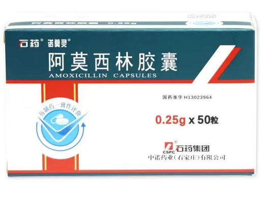 石药/诺莫灵阿莫西林胶囊招商代理 0.25g*50粒 诺莫灵