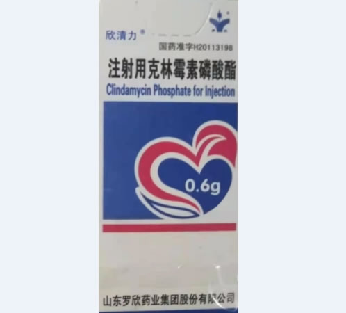 欣清力注射用克林霉素磷酸酯招商代理 0.6g 欣清力