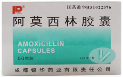 阿莫西林胶囊招商代理 50粒 锦华药业