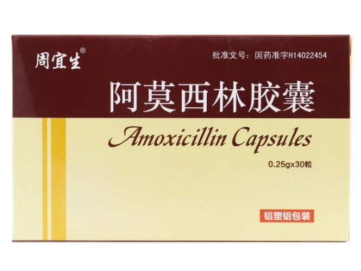周宜生阿莫西林胶囊招商代理 30粒