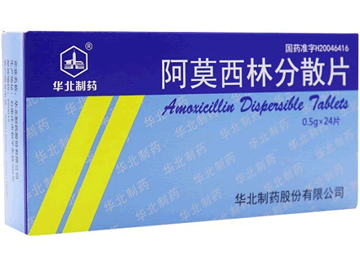 华北制药阿莫西林分散片招商代理 0.5g*24片