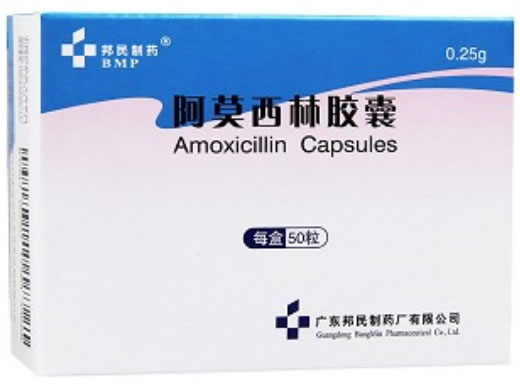 阿莫西林胶囊招商代理 50粒 邦民制药厂