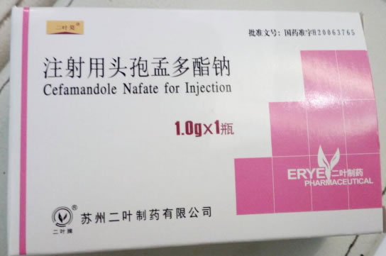 注射用头孢孟多酯钠招商代理 1.0g 苏州二叶制药