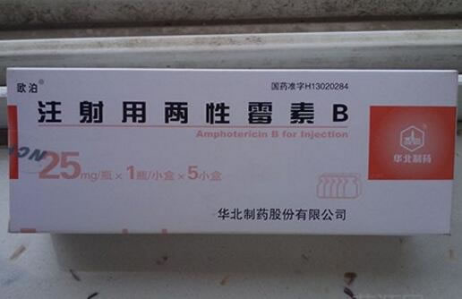 欧泊/华北制药注射用两性霉素B招商代理 25mg*5小盒