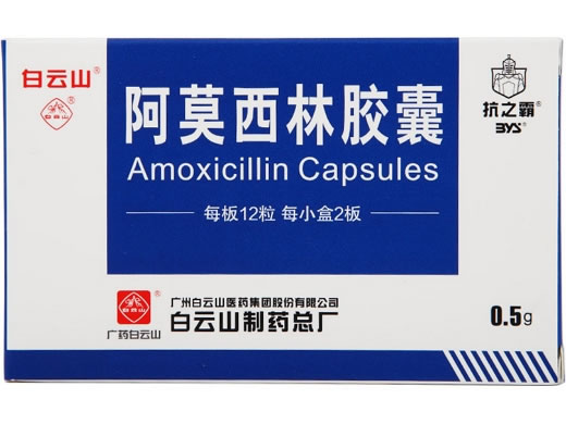 抗之霸阿莫西林胶囊招商代理 24粒 白云山制药