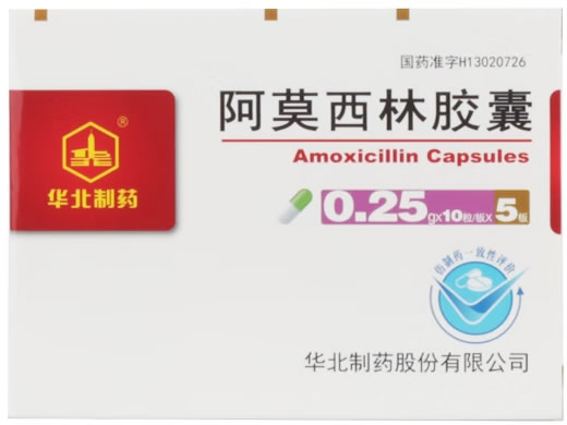 华北制药阿莫西林胶囊招商代理 0.25g*50粒 华北制药