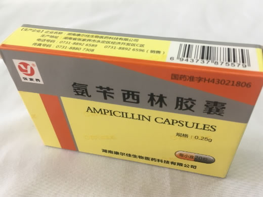 张家界氨苄西林胶囊招商代理 20粒 湖南康尔佳生物医药科技