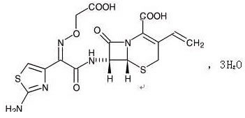 头孢克肟片招商代理 0.1g*4片 哈尔滨凯程制药