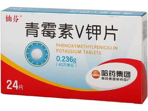 仙芬青霉素V钾片招商代理 24片 哈药集团