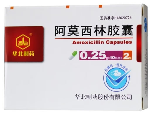华北制药阿莫西林胶囊招商代理 20粒 华北制药