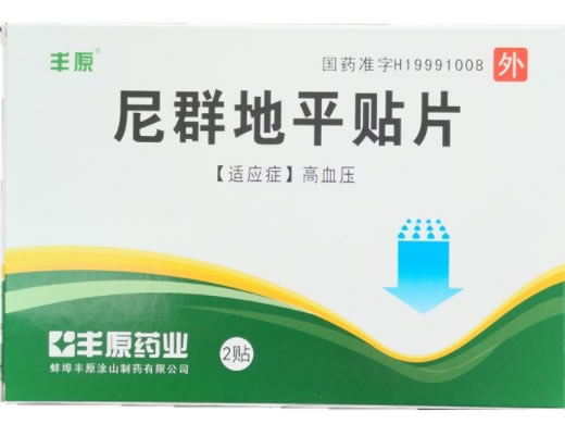 丰原尼群地平贴片招商代理 