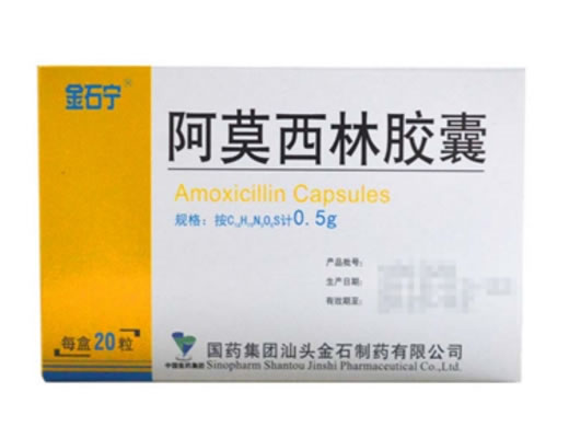 金石宁阿莫西林胶囊招商代理 0.5g*20粒 金石制药