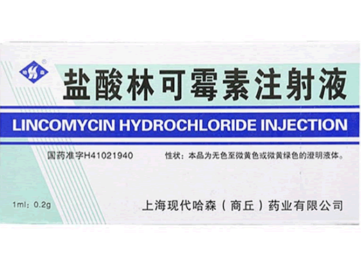 哈森盐酸林可霉素注射液招商代理 1ml*10支 哈森