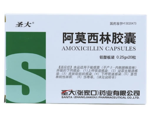 圣大阿莫西林胶囊招商代理 20粒 圣大(张家口)药业