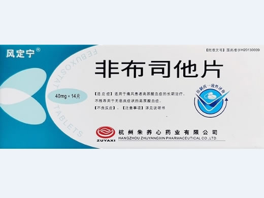 风定宁非布司他片招商代理 风定宁 40mg*14片