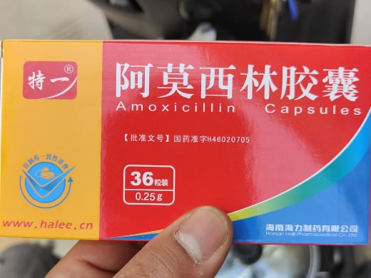 特一阿莫西林胶囊招商代理 0.25g*36粒