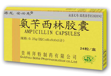 港龙安必先氨苄西林胶囊招商代理 :氨苄西林胶囊(港龙安必先) 0.25g*24粒 贵州拜特制药