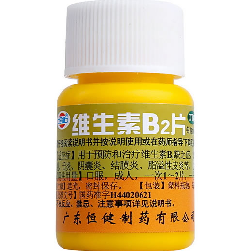恒健维生素B2片招商代理 100片 恒健制药