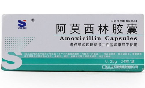 阿莫西林胶囊招商代理 24粒 三才石岐制药