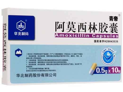 青帝阿莫西林胶囊招商代理 10粒 华北制药