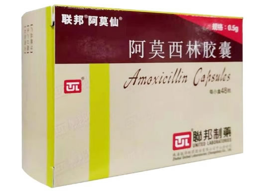 阿莫仙阿莫西林胶囊招商代理 48粒