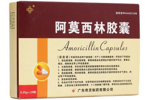 阿莫西林胶囊招商代理 20粒 广东奇灵制药