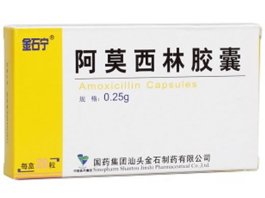 金石宁阿莫西林胶囊招商代理 20粒 金石制药
