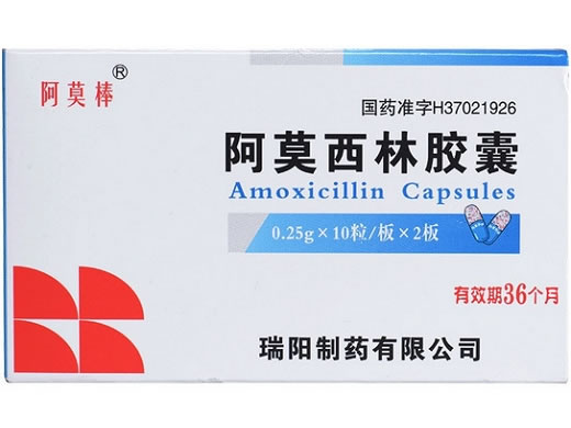 阿莫棒阿莫西林胶囊招商代理 20粒
