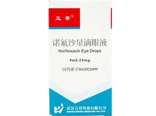 五景诺氟沙星滴眼液招商代理 8ml