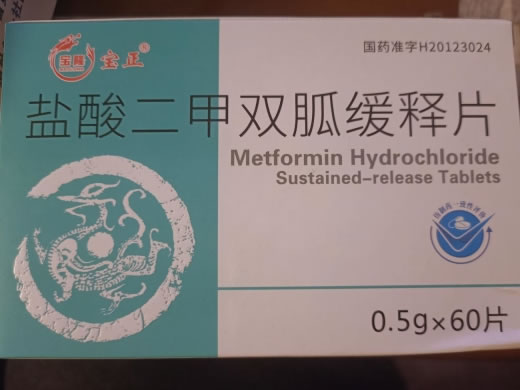 宝隆/宝正盐酸二甲双胍缓释片招商代理 60片