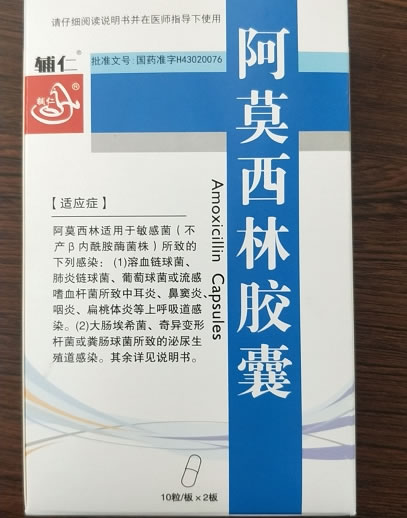 辅仁阿莫西林胶囊招商代理 20粒 中和制药