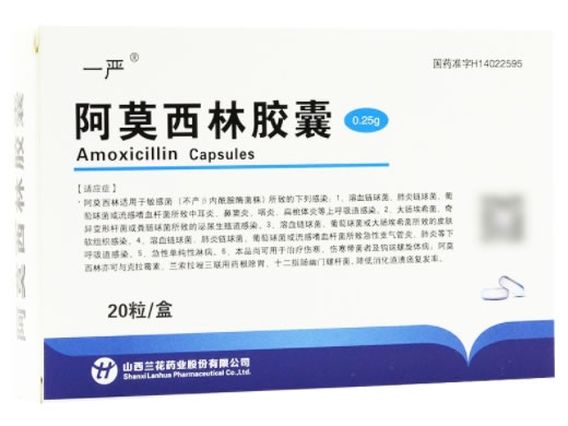 一严阿莫西林胶囊招商代理 20粒