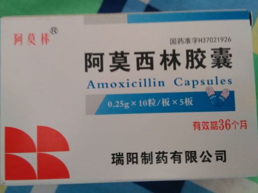 阿莫西林胶囊招商代理 0.25g*50粒 瑞阳制药