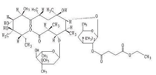 琥乙红霉素片招商代理 :琥乙红霉素片 0.1g*24片 上海信谊药厂